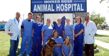Hover road animal hospital team